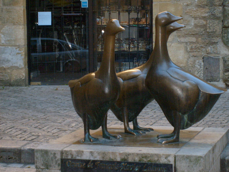 les-oies-de-sarlat-capitale-du-foie-gras
